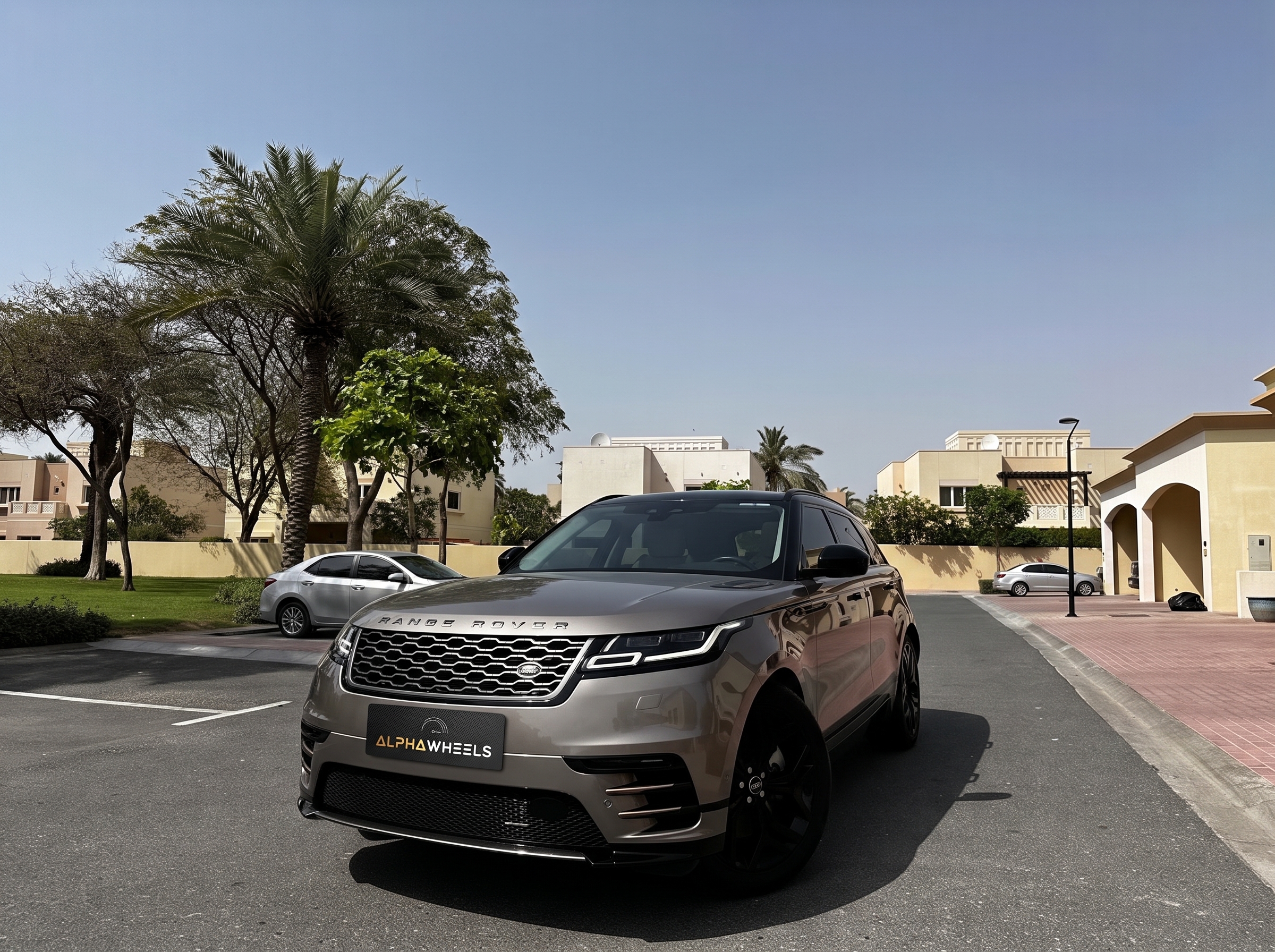 Alpha Grey Car